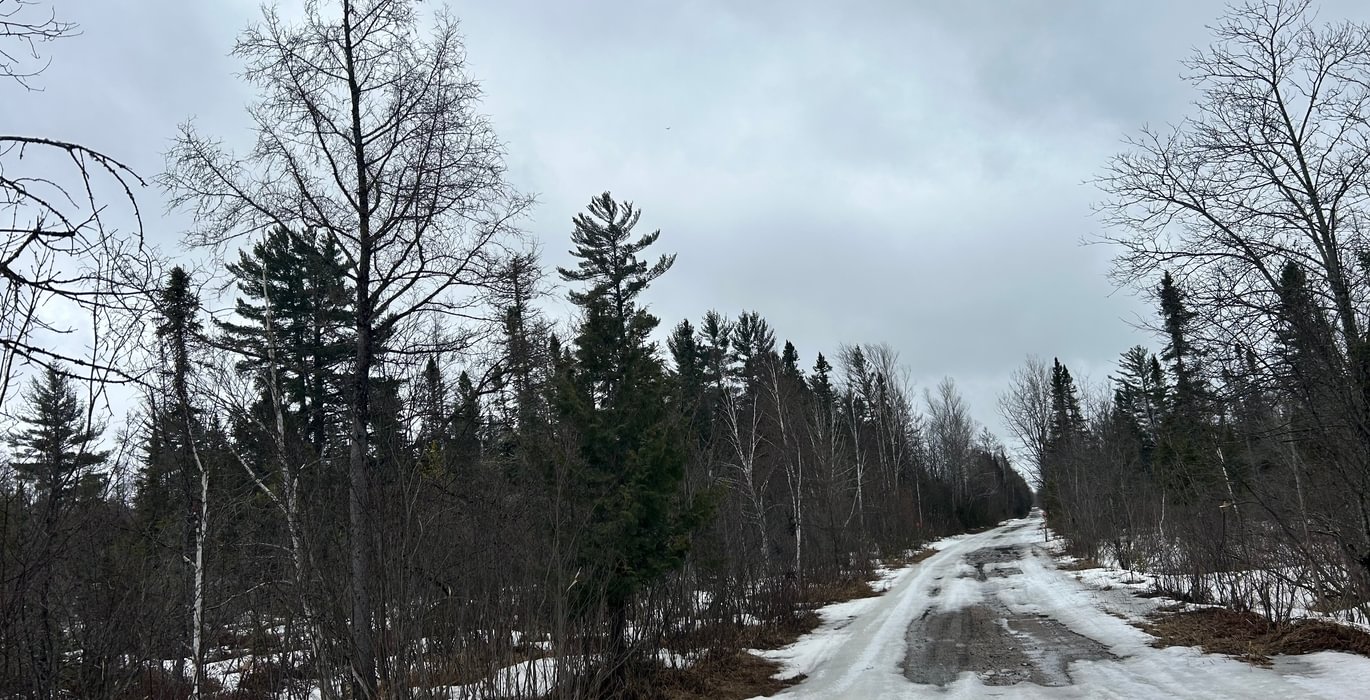168 IMG 1611 1