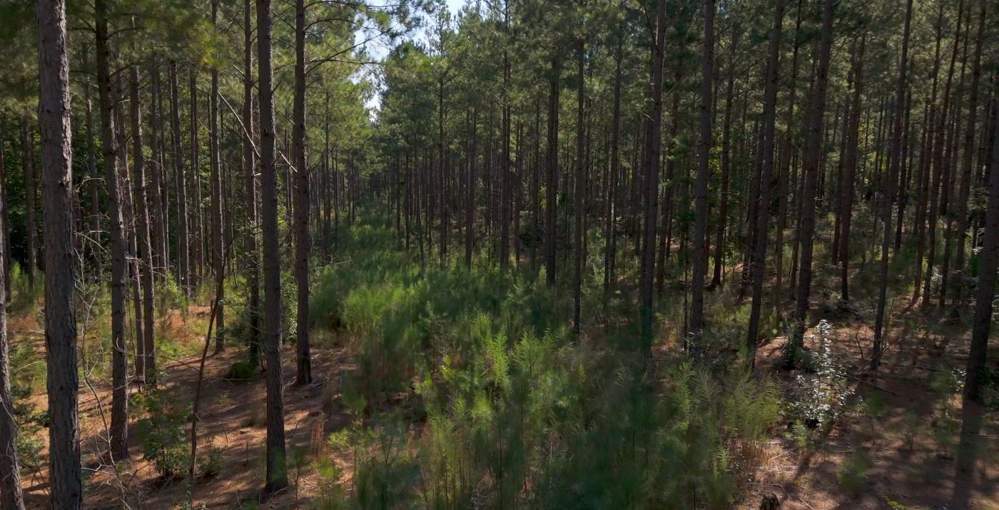169 Cabin Creek Photo 8