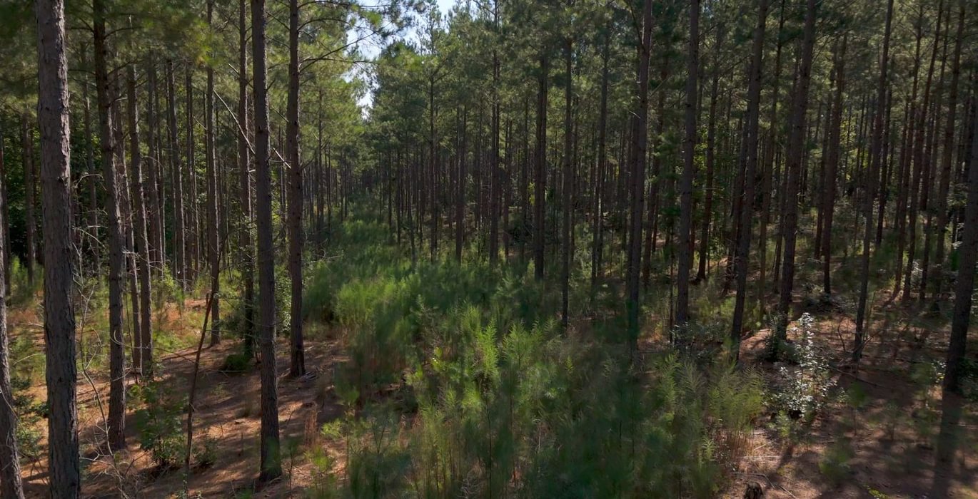 169 Cabin Creek Photo 8