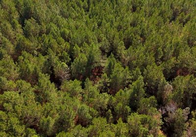 169 AFM Bladen 339 Photo 16