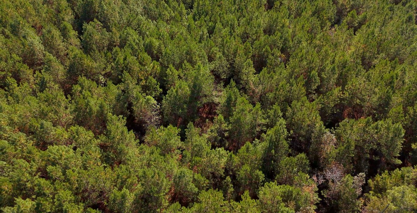 169 AFM Bladen 339 Photo 16