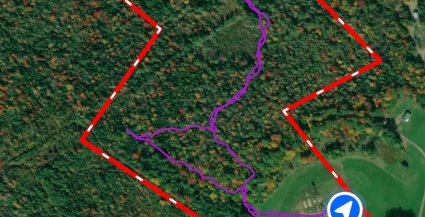 169 Screenshot 20260629 163933 Land id