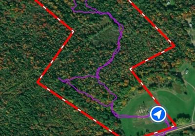 169 Screenshot 20260629 163933 Land id