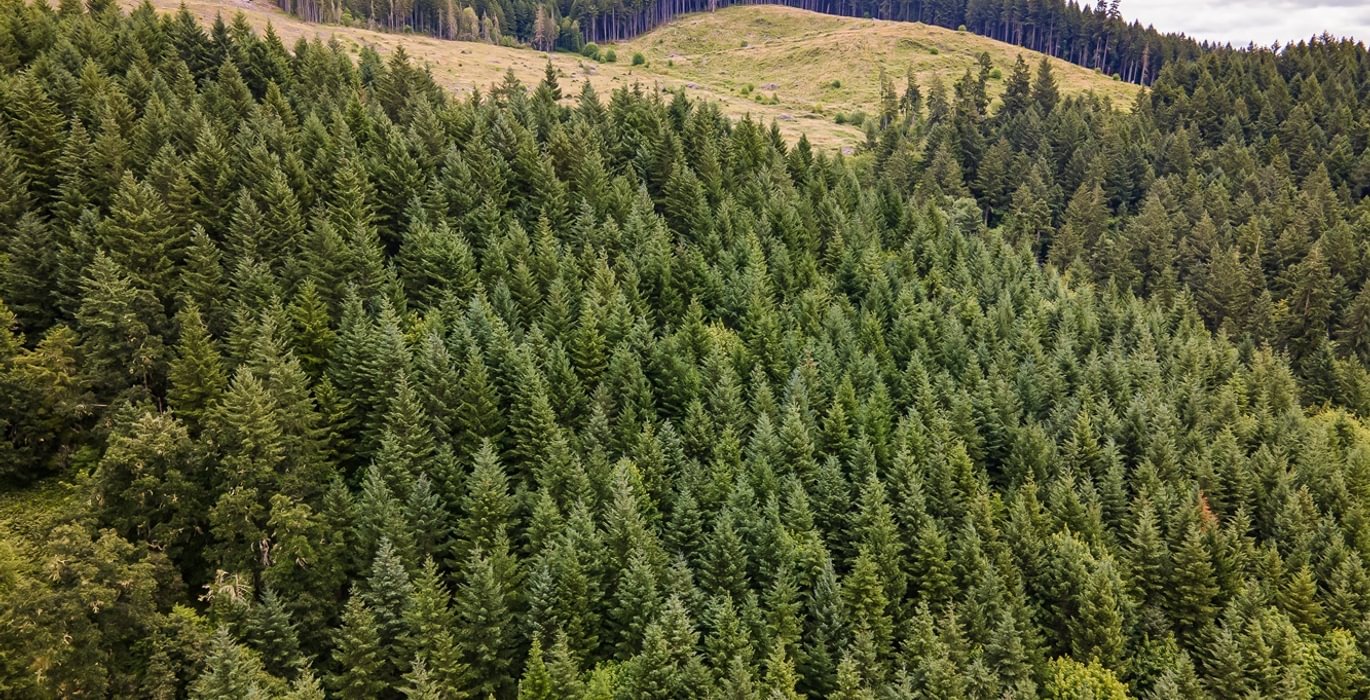 16 DJI 0654 HDR25