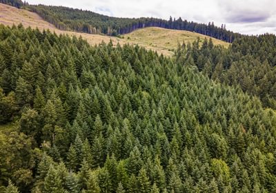 16 DJI 0654 HDR25