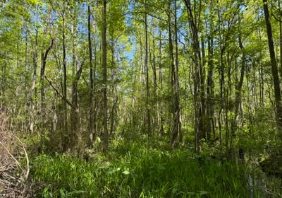 16 IMG 4261