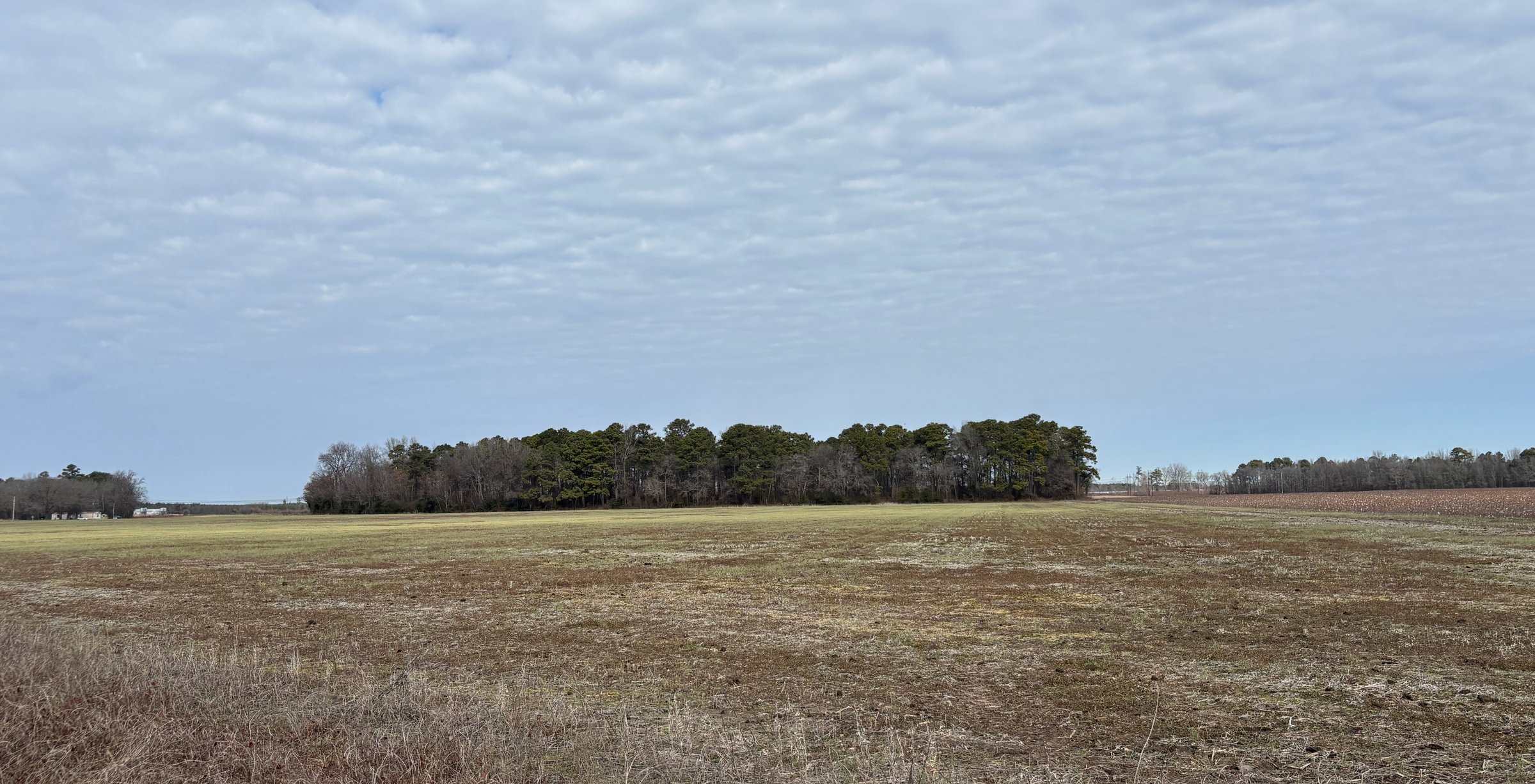 16 IMG 6137