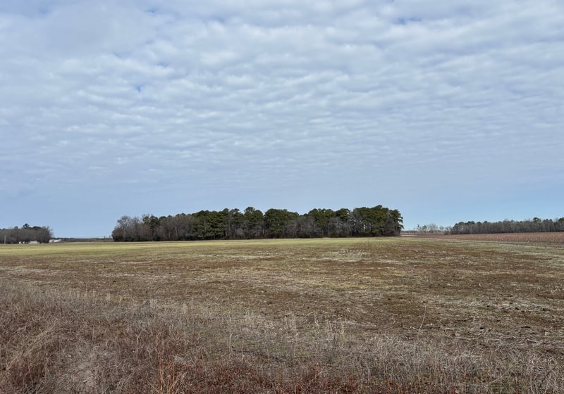 16 IMG 6137