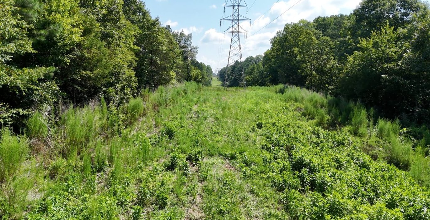 16 Simlin Creek Photo 18