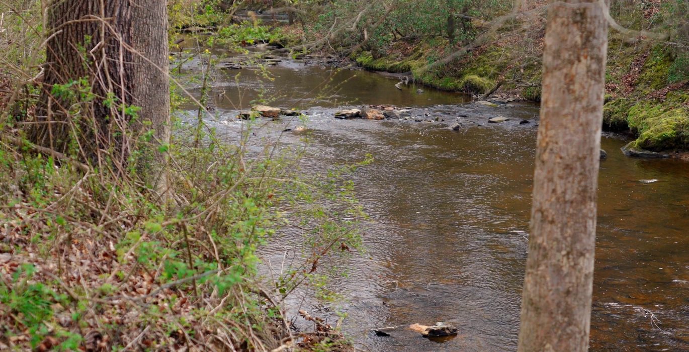 170 AFM West Fork 85 Photo 4