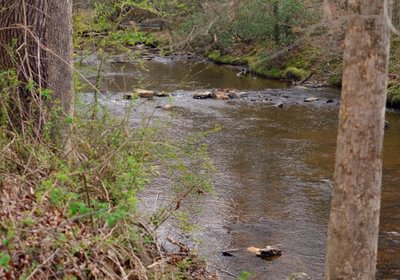 170 AFM West Fork 85 Photo 4