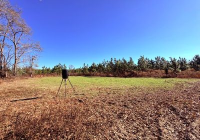 170 B 51 Food plot