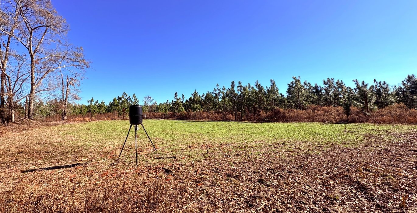 170 B 51 Food plot