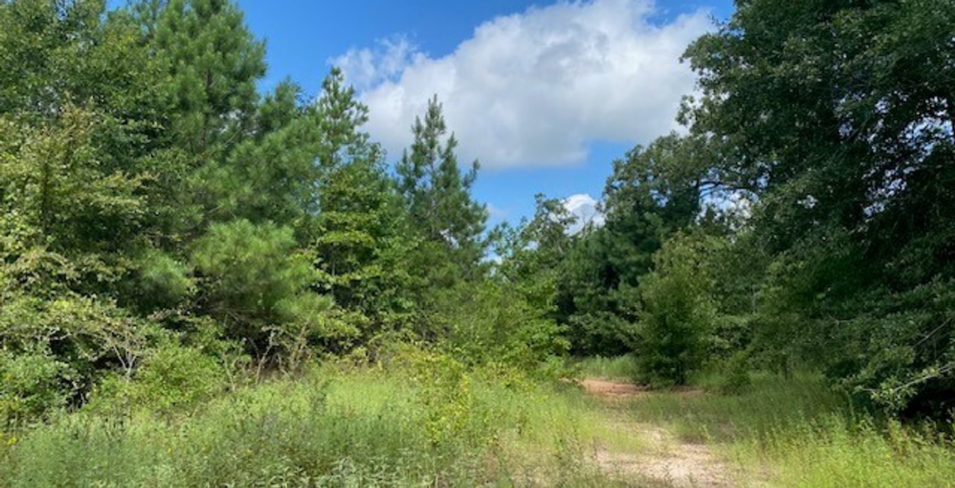 171 gum springs 8