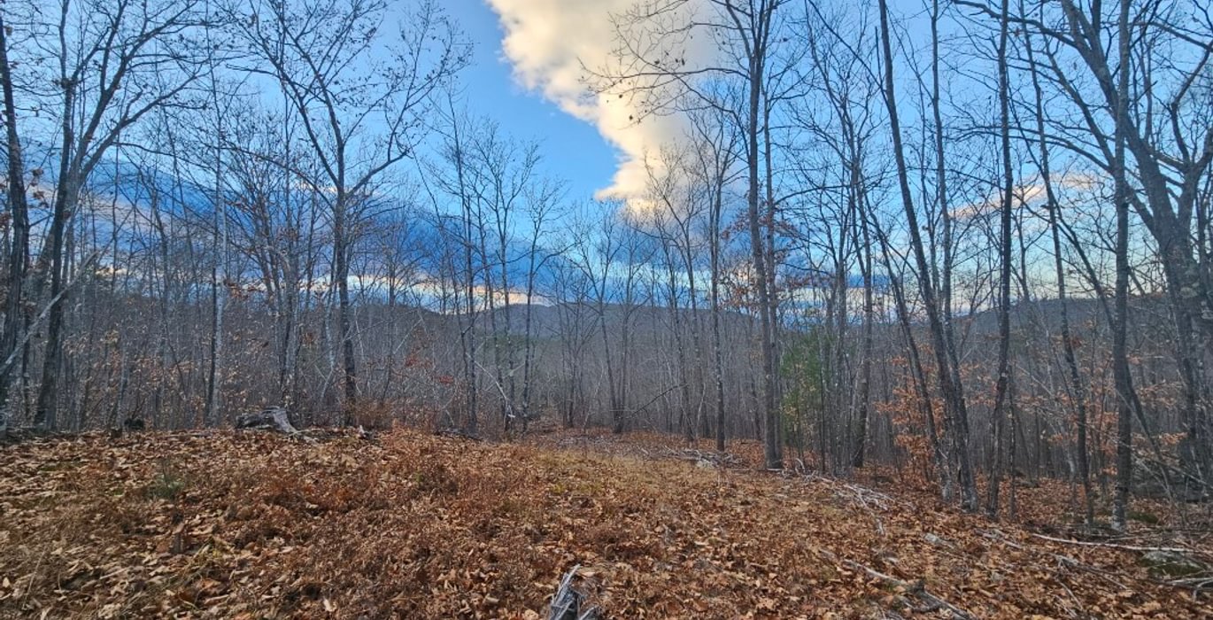 171 mountain views