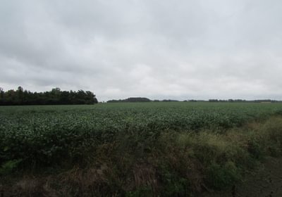 172 48 IMG 1156