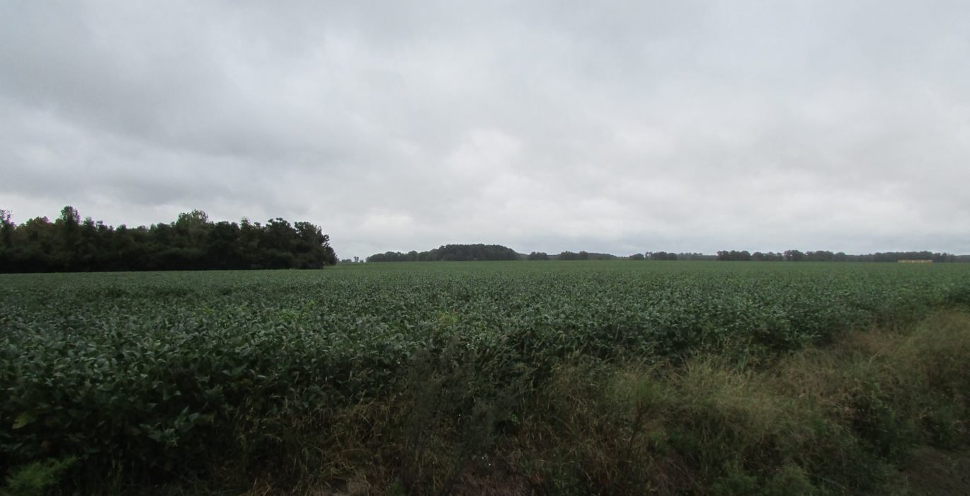 172 48 IMG 1156