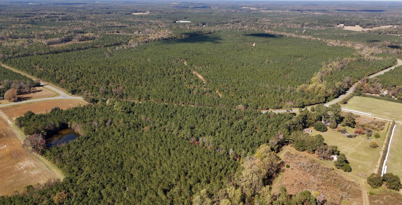 172 AFM Bladen 339 Photo 1