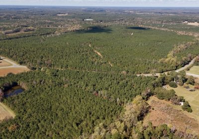 172 AFM Bladen 339 Photo 1