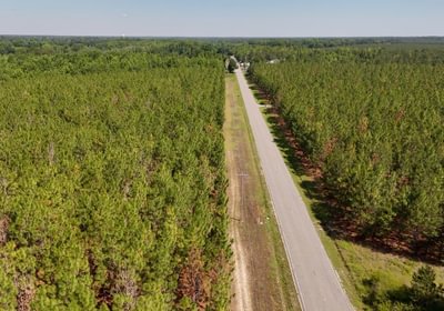 172 Beaverdam Creek Photo 47