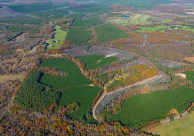 172 DJI 20251104135637 0062 D