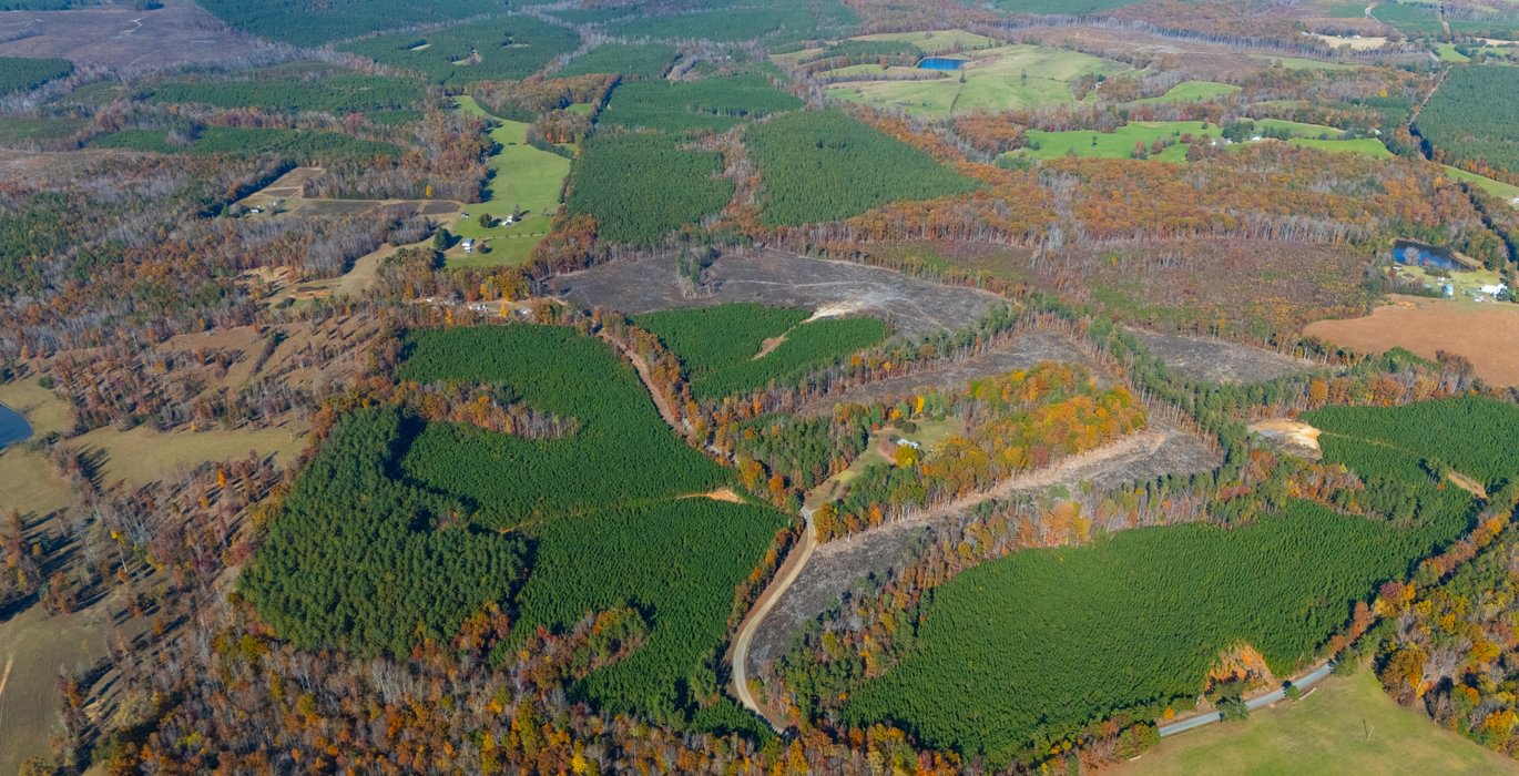 172 DJI 20251104135637 0062 D