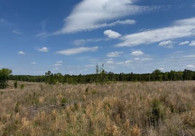 172 IMG 7179