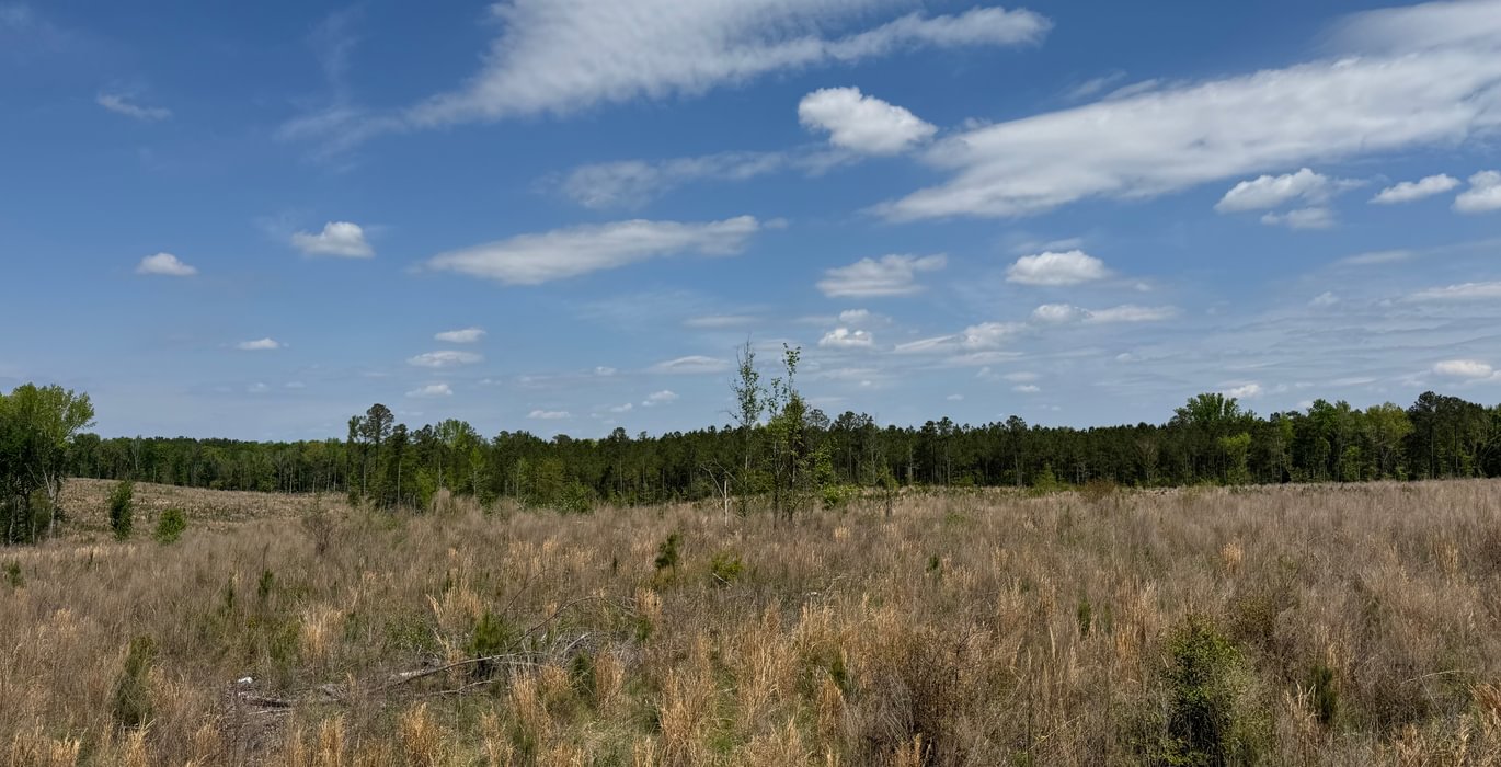 172 IMG 7179