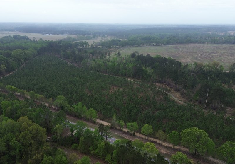 Photo 2 of Old Poor Robin Sportsman Tract 2, 24.6 acres, Screven County, Georgia