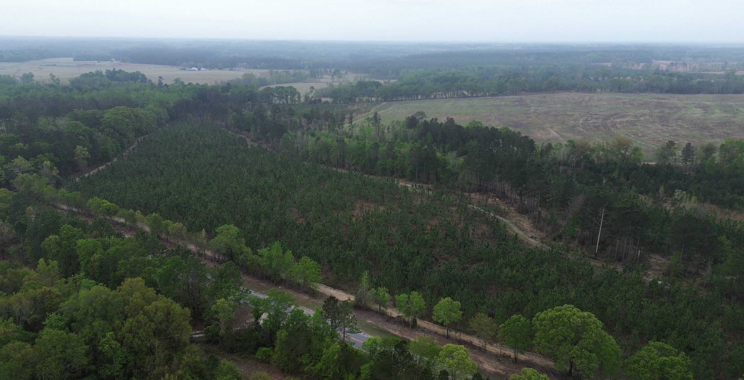 Photo 2 of Old Poor Robin Sportsman Tract 2, 24.6 acres, Screven County, Georgia