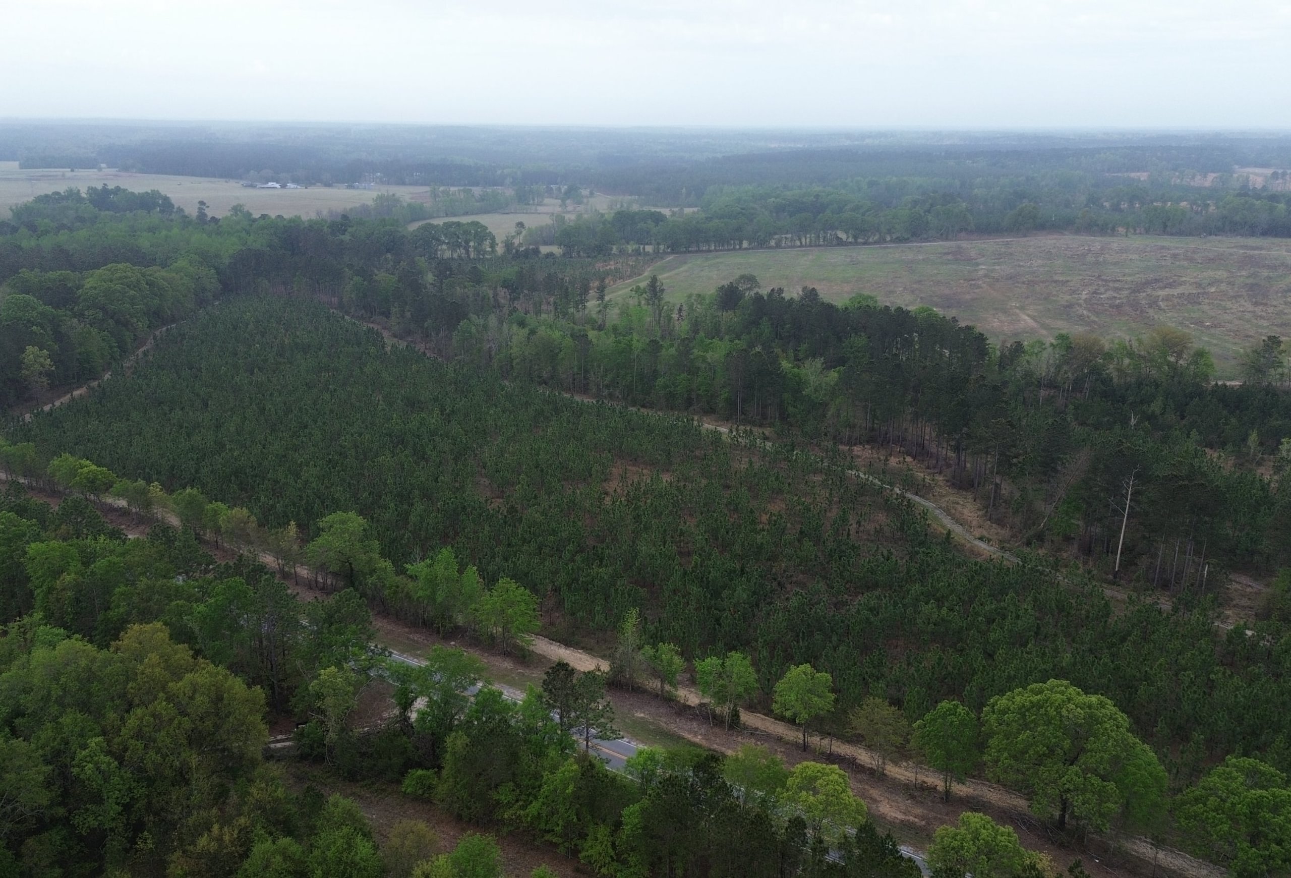 Photo 2 of Old Poor Robin Sportsman Tract 2, 24.6 acres, Screven County, Georgia