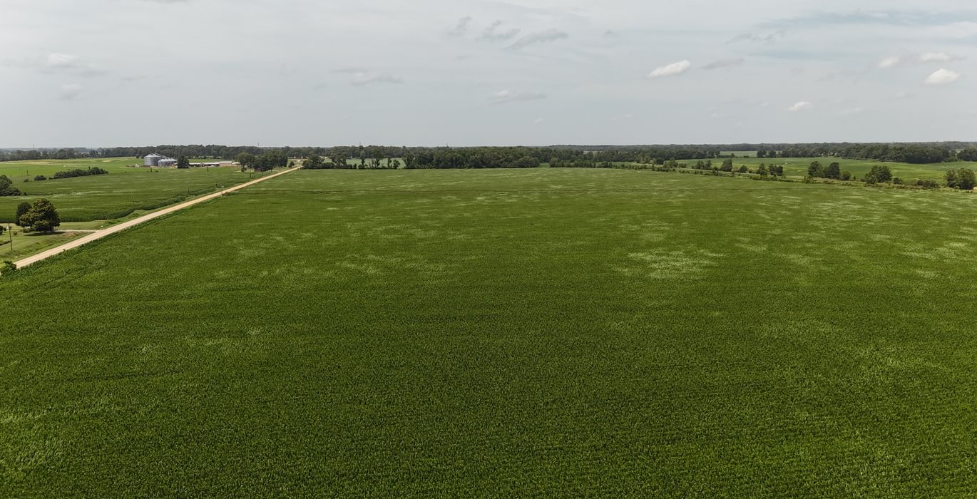 173 DJI 20250618144429 0165 D