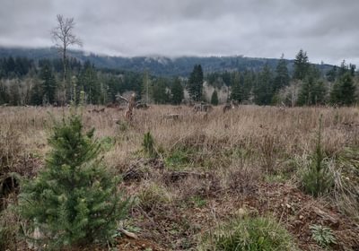 173 IMG 20260114 130802989 HDR