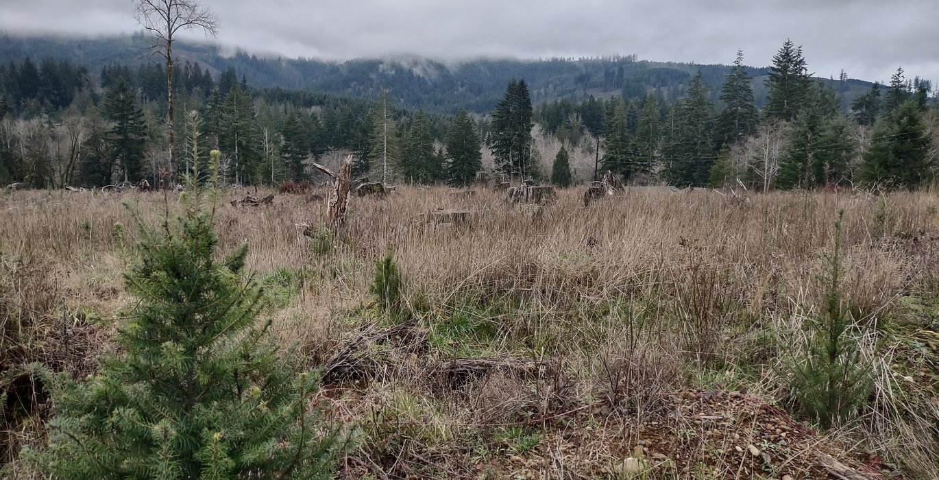 173 IMG 20260114 130802989 HDR