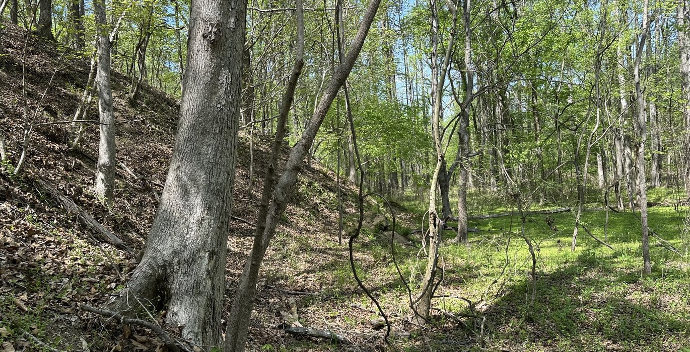 173 IMG 5292