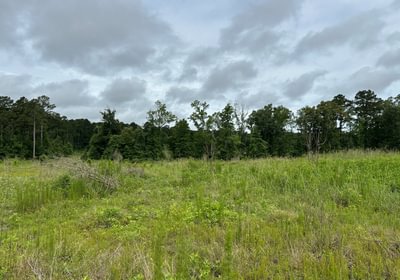 173 IMG 7732