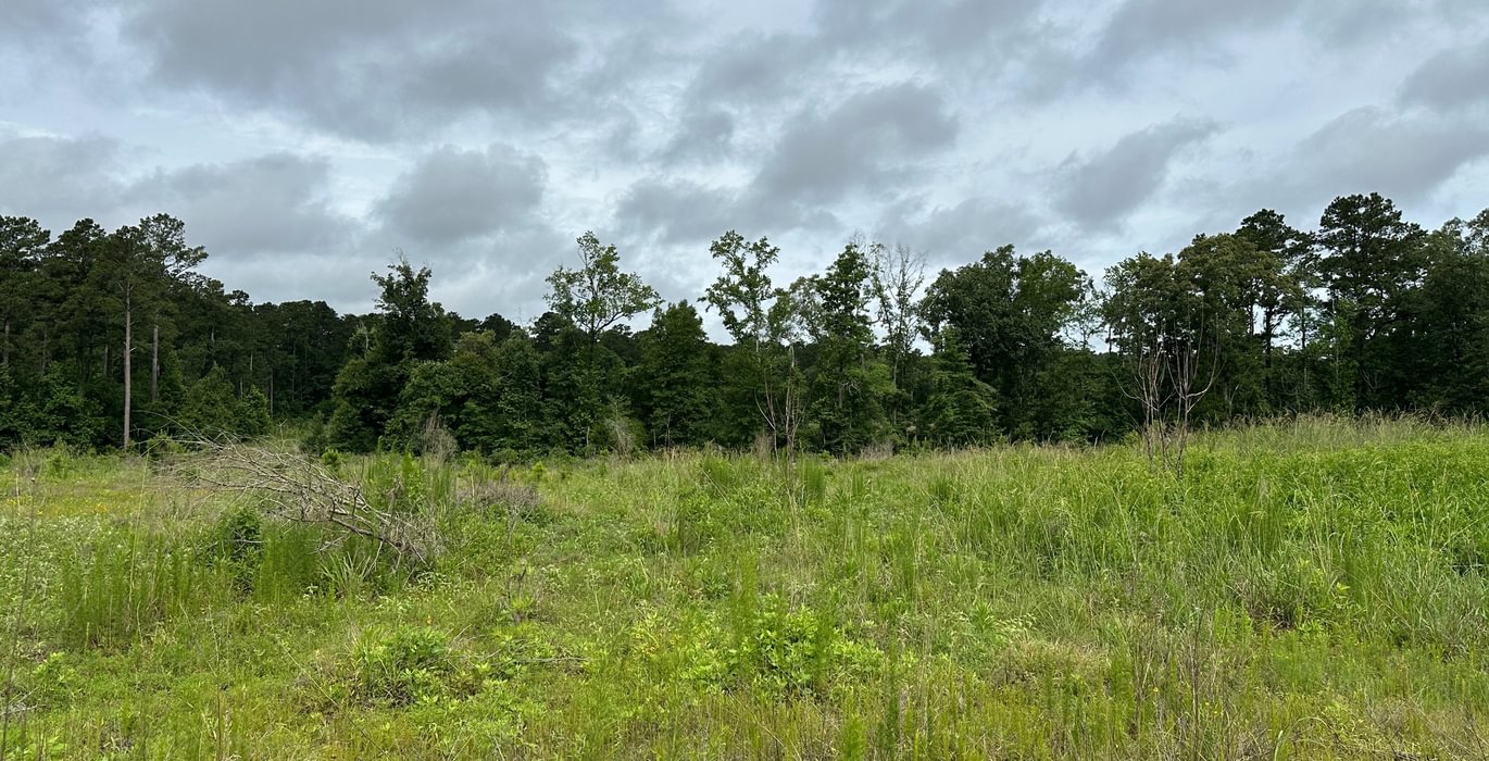 173 IMG 7732