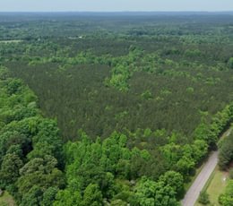 173 Mc Call Capelsie 8