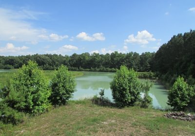 174 IMG 1141