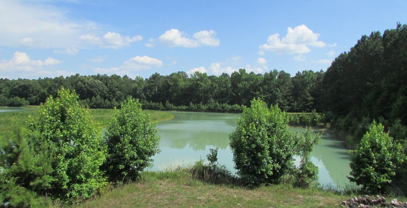 174 IMG 1141