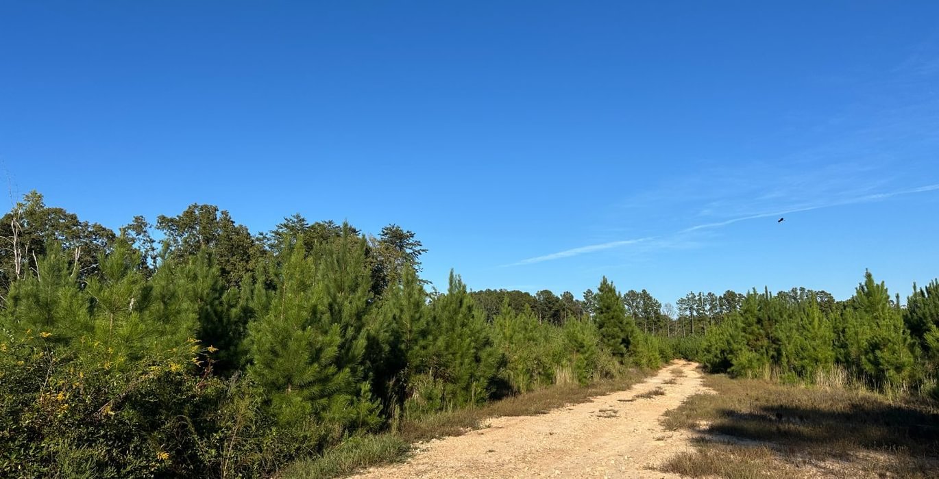 174 IMG 26861