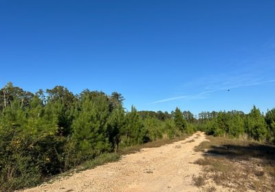 174 IMG 26861