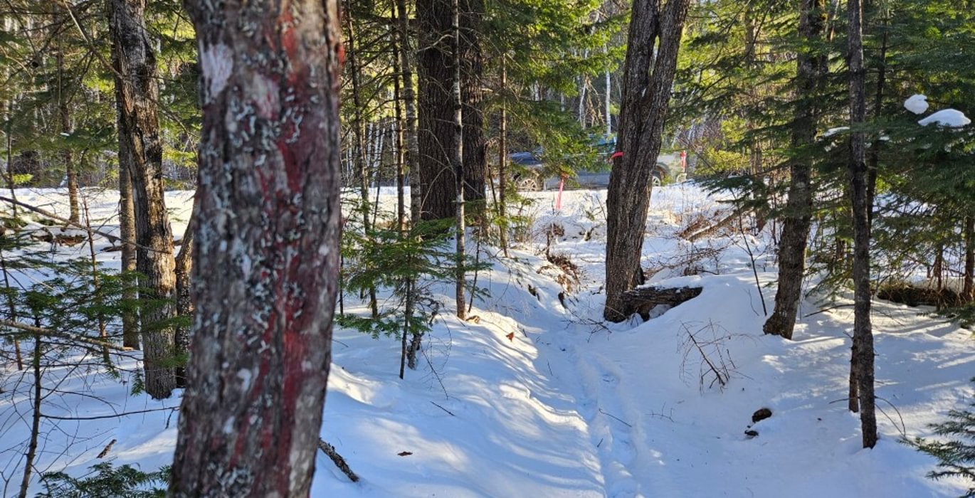 175 18 Boundary Line off Emery Farm road