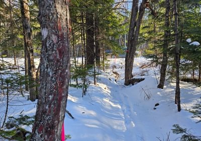 175 18 Boundary Line off Emery Farm road