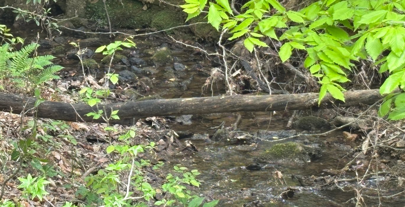 175 IMG 4909