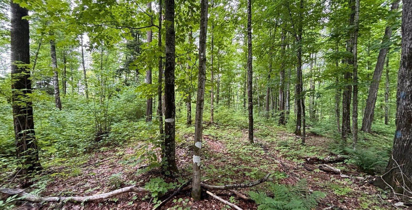 175 beartown 7