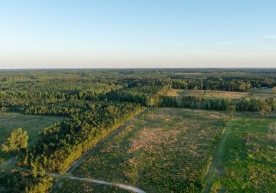 176 DJI 0948