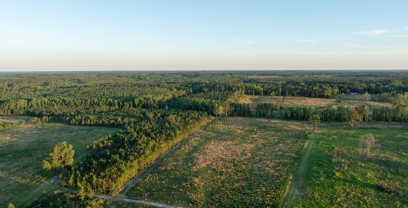 176 DJI 0948