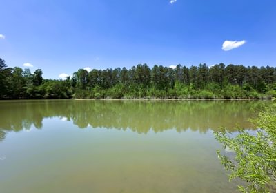 176 IMG 01861