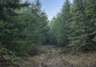 177 Chat GPT Image Jan 13 2026 at 05 03 24 PM